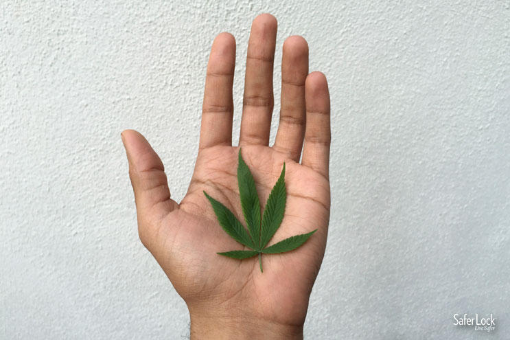 With the increased use of marijuana in the U.S. comes an increased responsibility on behalf of users: keeping marijuana properly stored and out of the hands of minors.