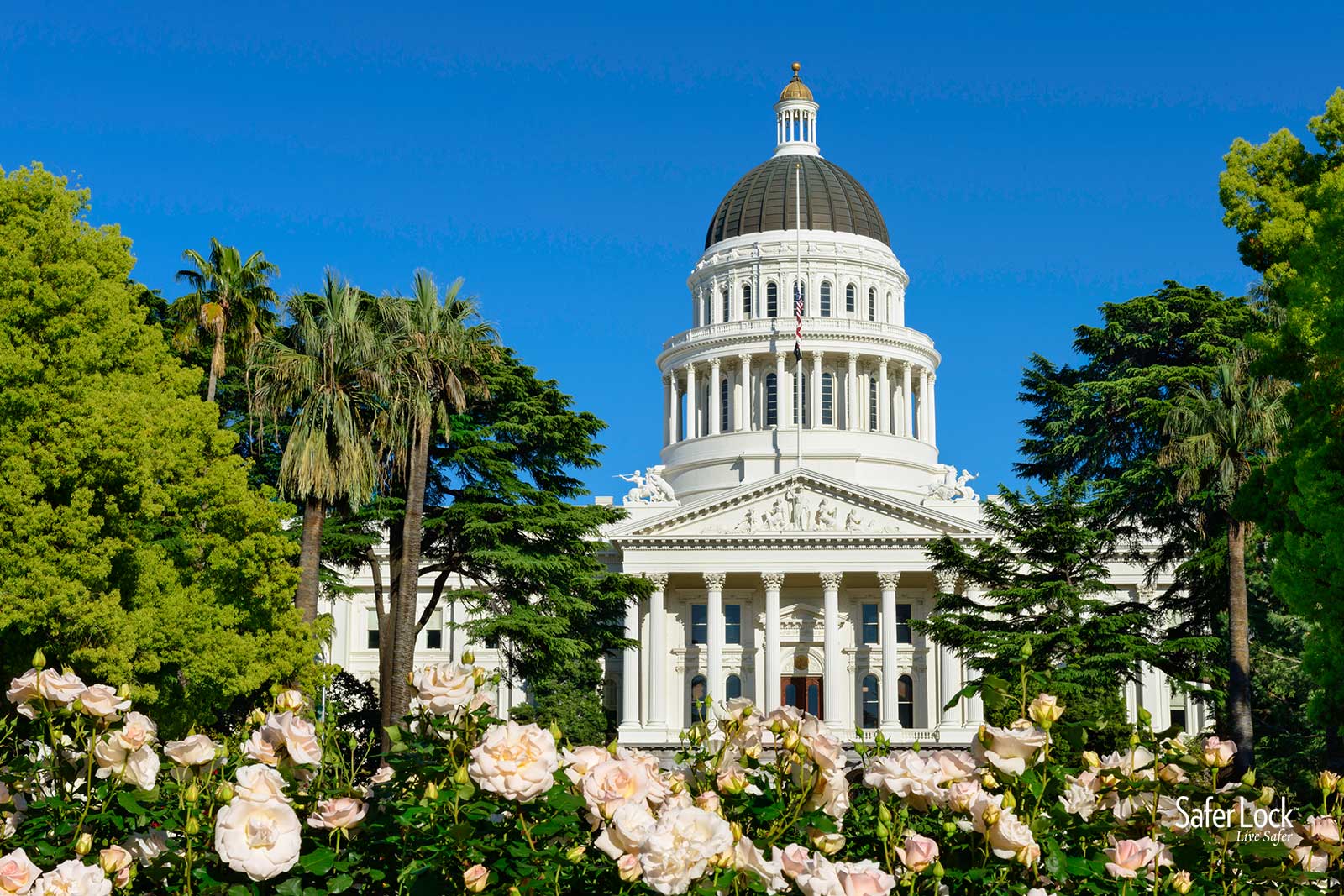 CA Senator Introduces Safe Dispensing Act